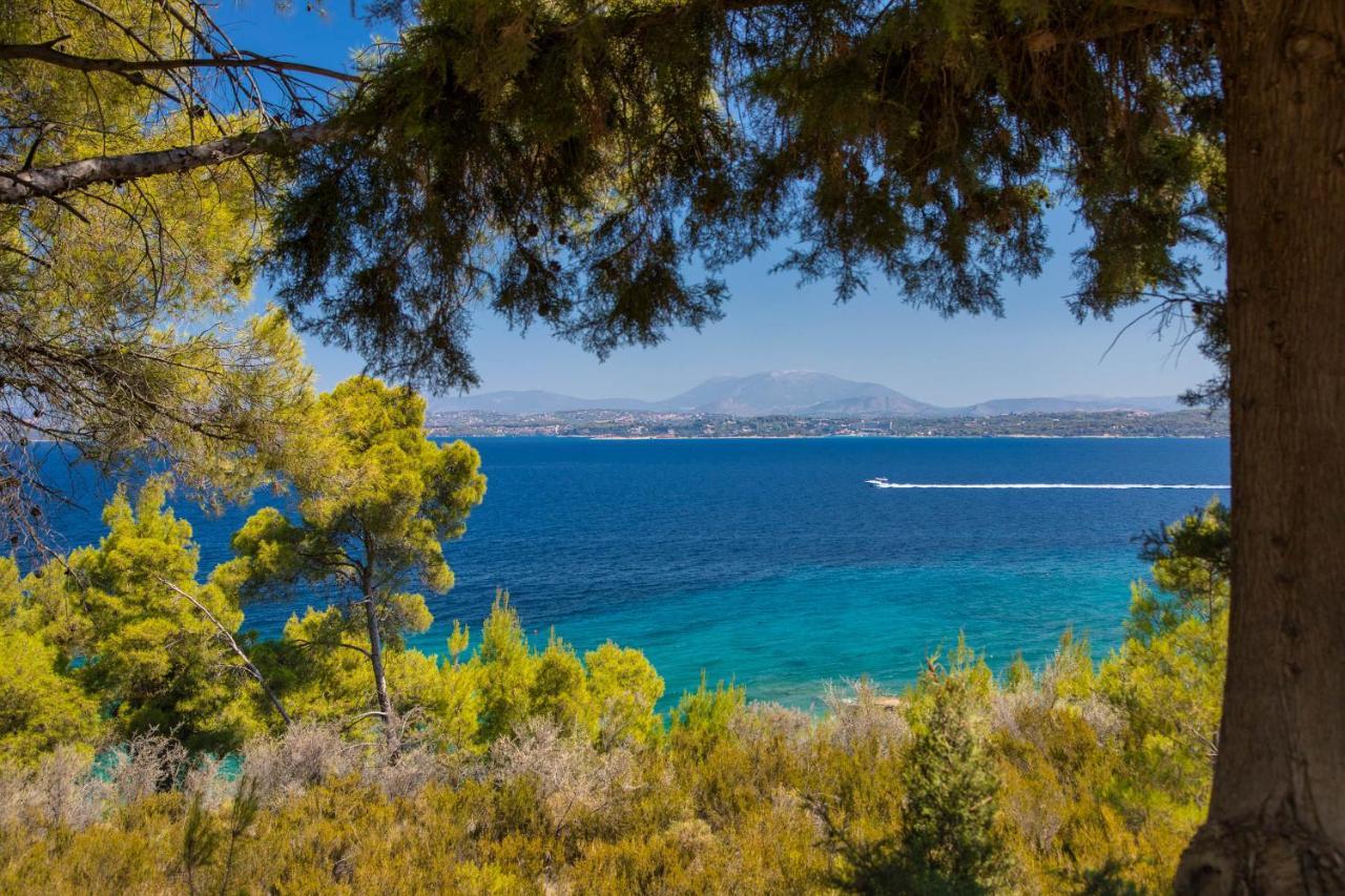 Villa Aria House à Spetses Town Extérieur photo